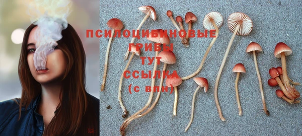круглые Арсеньев